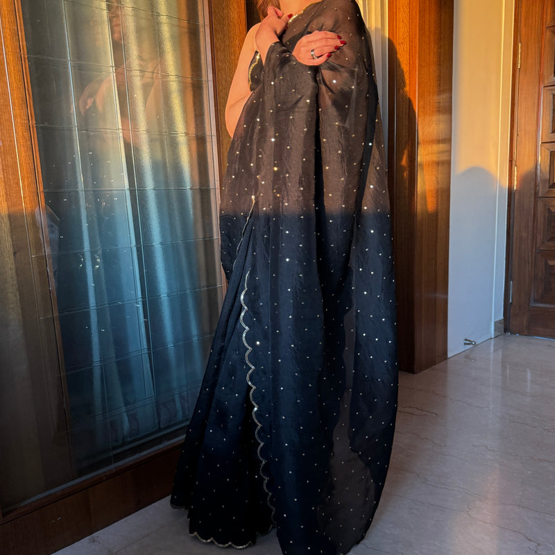 Black Pure Silk Organza Saree