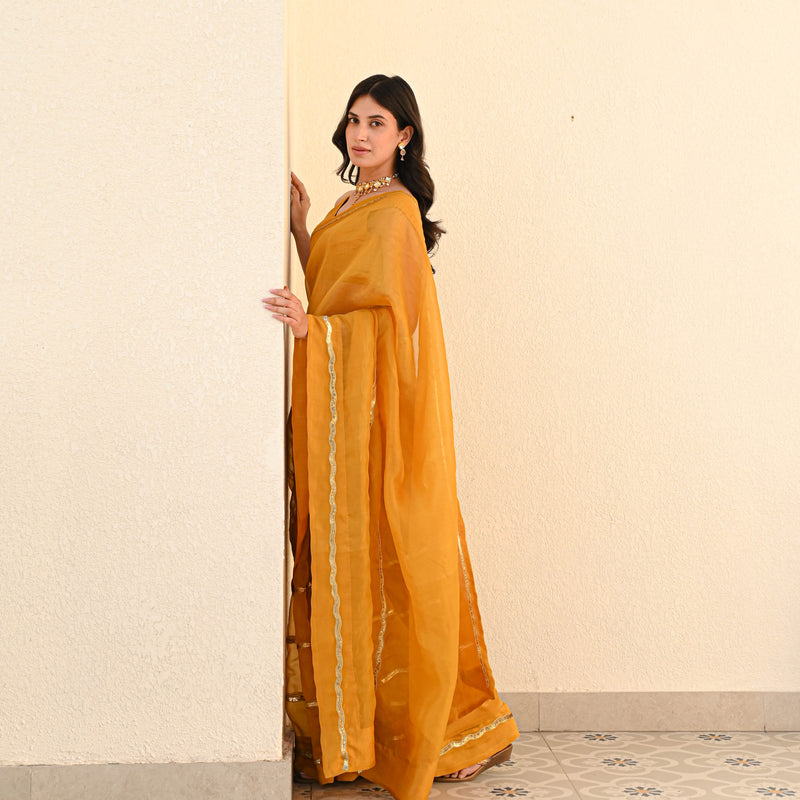 Blissful Organza Saree