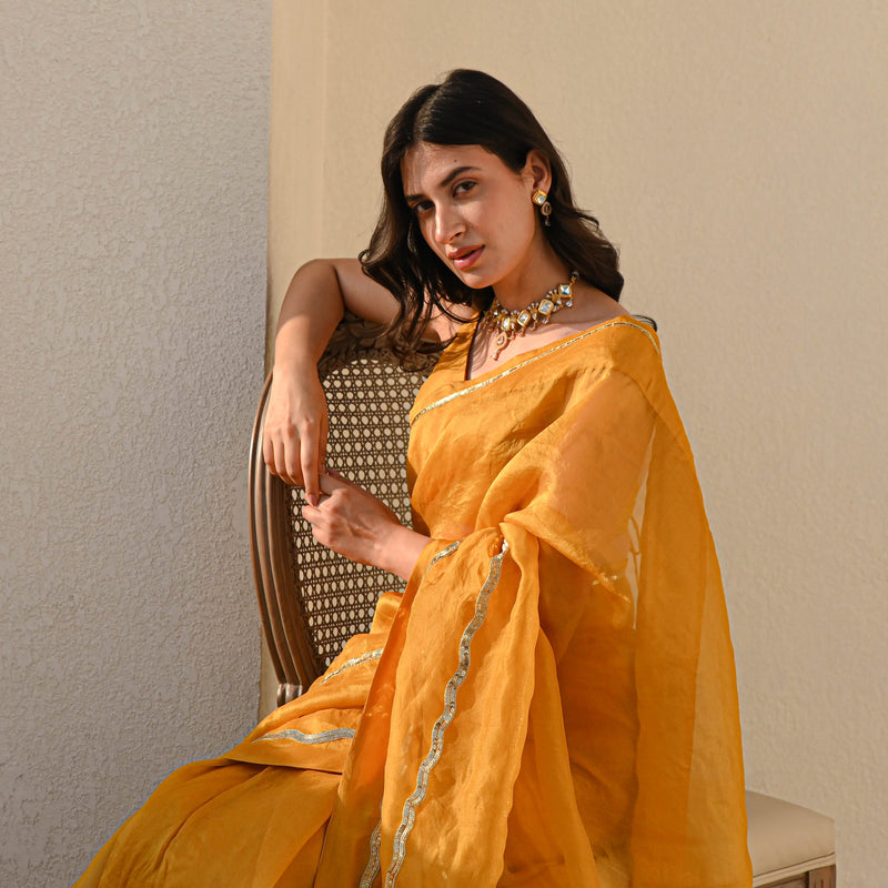 Blissful Organza Saree