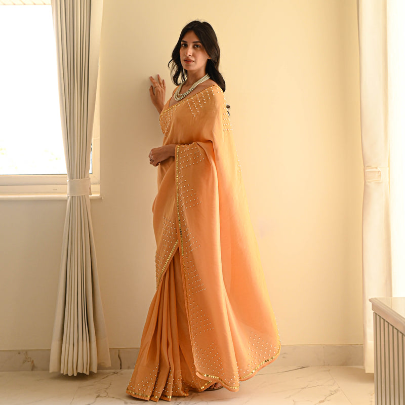 Timeless Beauty Tissue Saree